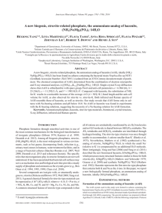 A new biogenic, struvite-related phosphate, the ammonium-analog of hazenite, (NH )NaMg (PO
