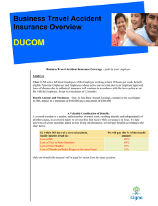DUCOM Business Travel Accident Insurance Overview