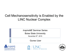 Cell Mechanosensitivity is Enabled by the LINC Nuclear Complex Boise State University