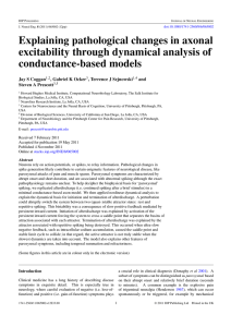 Explaining pathological changes in axonal excitability through dynamical analysis of conductance-based models