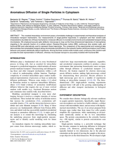 Anomalous Diffusion of Single Particles in Cytoplasm