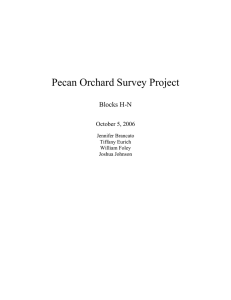 Pecan Orchard Survey Project Blocks H-N October 5, 2006