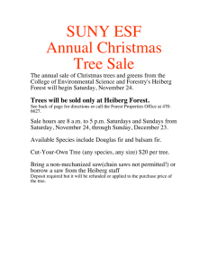 SUNY ESF Annual Christmas Tree Sale