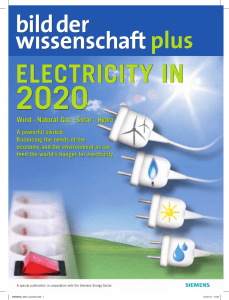 2020 ELECTRICITY IN plus Wind – Natural Gas – Solar – Hydro