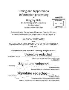 i nformation  processing Timing  and  hippocampal Gregory  Hale