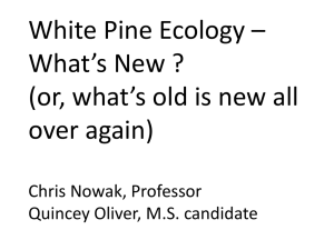 White Pine Ecology – What’s New ? over again)