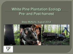 The Faunal Community in White Pine Plantations and Impacts of Forest Operations on Wildlife