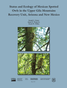 Status and Ecology of Mexican Spotted