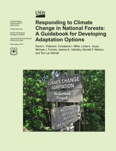 Responding to Climate Change in National Forests: A Guidebook for Developing Adaptation Options