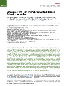 Meeting Report Outcome of the First wwPDB/CCDC/D3R Ligand Validation Workshop Structure