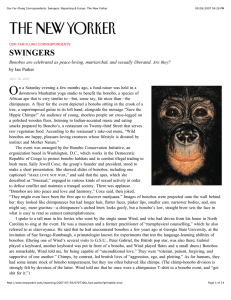 O SWINGERS Bonobos are celebrated as peace-loving, matriarchal, and sexually liberated. Are... by Ian Parker