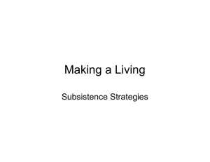 Making a Living Subsistence Strategies