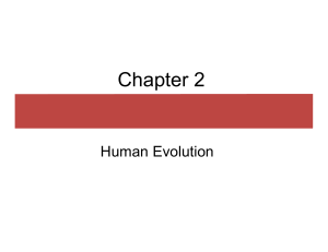 Chapter 2 Human Evolution