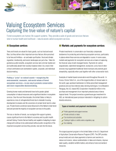 Valuing Ecosystem Services Capturing the true value of nature’s capital