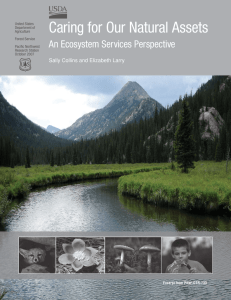 Caring for Our Natural Assets  An Ecosystem Services Perspective
