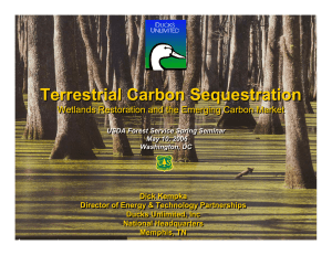 Terrestrial Carbon Sequestration Wetlands Restoration and the Emerging Carbon Market