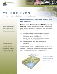 WATERSHED SERVICES: The important link between forests and water