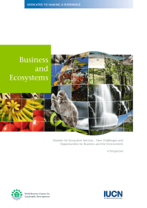 Business and Ecosystems Markets for Ecosystem Services