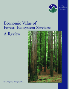 Economic Value of Forest  Ecosystem Services: A Review