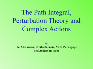 The Path Integral, Perturbation Theory and Complex Actions