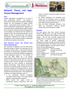 Network  Theory  and  Sage- Grouse Management I