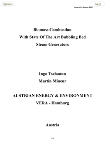 Biomass Combustion With State Of The Art Bubbling Bed Steam Generators Ingo Tschanun