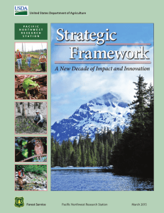 Strategic Framework A New Decade of Impact and Innovation