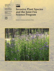 Invasive Plant Species and the Joint Fire
