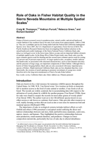 Role of Oaks in Fisher Habitat Quality in the  Scales