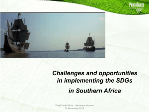 Challenges and opportunities in implementing the SDGs in Southern Africa