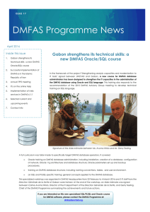 DMFAS Programme News Gabon strengthens its technical skills: a