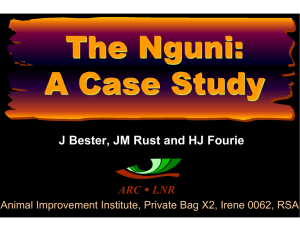 The Nguni: A Case Study J Bester, JM Rust and HJ Fourie