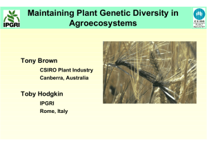 Maintaining Plant Genetic Diversity in Agroecosystems Tony Brown Toby Hodgkin