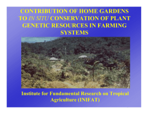 CONTRIBUTION OF HOME GARDENS TO GENETIC RESOURCES IN FARMING SYSTEMS
