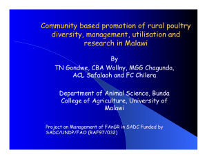 Community based promotion of rural poultry diversity, management, utilisation and