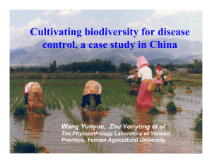 Cultivating biodiversity for disease control, a case study in China