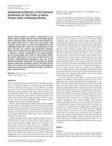 Spatiotemporal Dynamics of the Functional Architecture for Gain Fields in Inferior