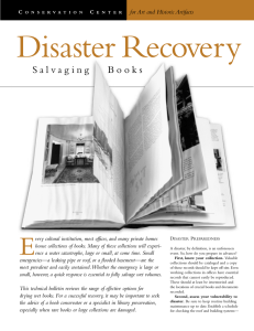 Disaster Recovery E for Art and Historic Artifacts