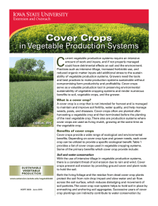C Cover Crops in Vegetable Production Systems
