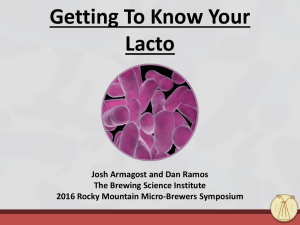Getting To Know Your Lacto Josh Armagost and Dan Ramos