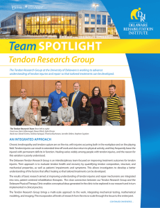 Team SPOTLIGHT  Tendon Research Group