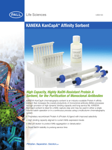 KANEKA KanCapA Affinity Sorbent High Capacity, Highly NaOH-Resistant Protein A