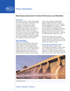 Maximizing Hydroelectric Turbine Performance and Reliability
