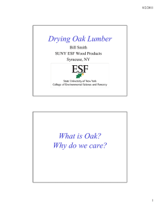 Drying Oak Lumber What is Oak? Why do we care? Bill Smith