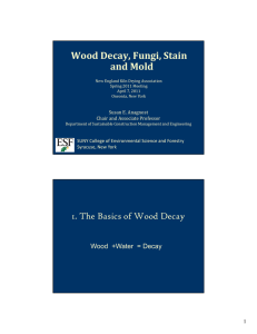 Wood Decay, Fungi, Stain  and Mold 