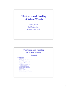The Care and Feeding of White Woods Tom Graber Smyrna, New York