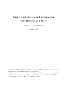Shape Quantization and Recognition with Randomized Trees Yali Amit and Donald Geman