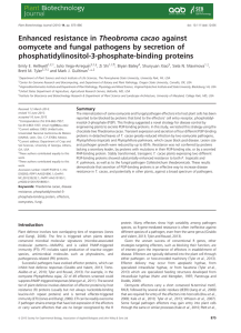 Theobroma cacao against Enhanced resistance in phosphatidylinositol-3-phosphate-binding proteins