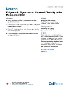 Epigenomic Signatures of Neuronal Diversity in the Mammalian Brain NeuroResource Highlights