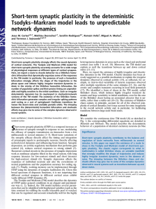 Short-term synaptic plasticity in the deterministic Tsodyks–Markram model leads to unpredictable
